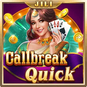 789bingo App Interface